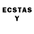 Ecstasy Philipp Plein Ann Riley
