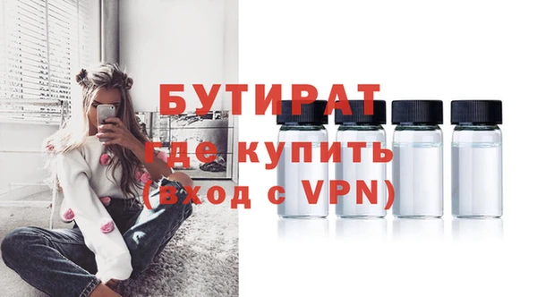 сатива Покачи