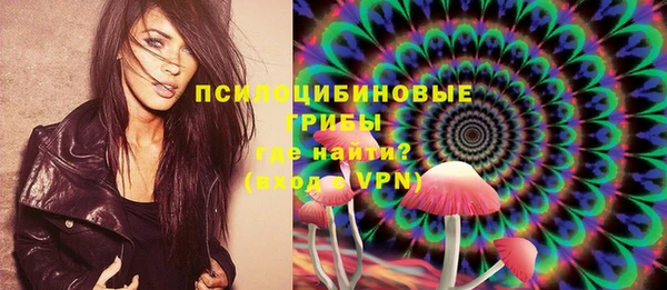 МДПВ Покров