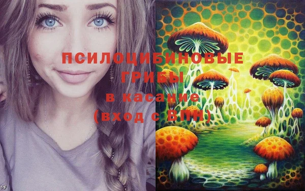 МДПВ Покров