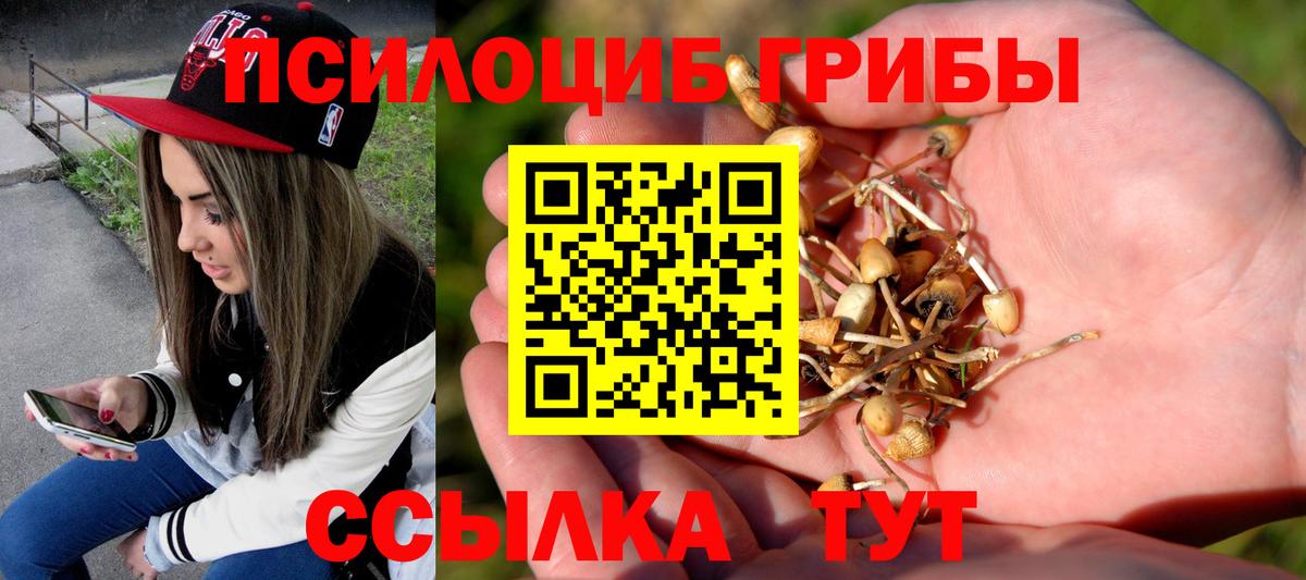 Черкесск  Галлюциногенные грибы Cubensis  Вход с VPN  Псилоцибиновые грибы ЛСД 